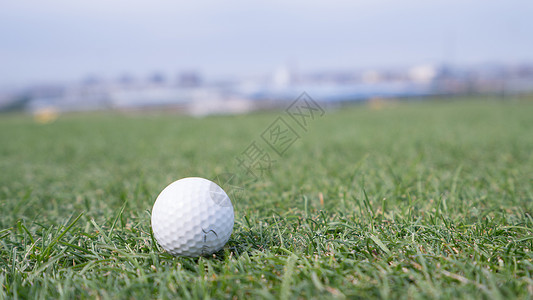 高尔夫户外养生球高清图片