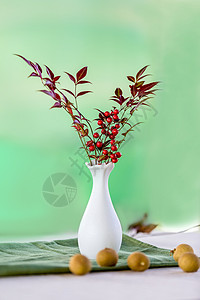 花瓶插花草绿色的小瓷瓶插花背景