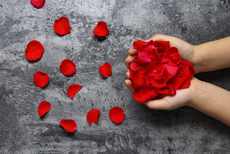 爱就在一起爱情双手捧着红玫瑰花瓣七夕情人节静物素材背景