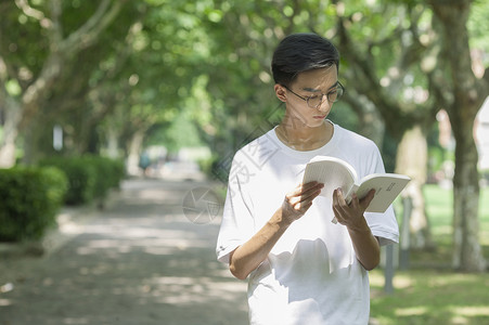 学校林荫道上男同学下课学习看书图片