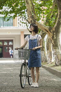 学校教室前的林荫小道上女同学推自行车图片