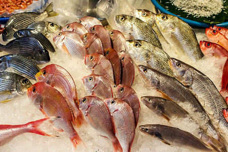 红绿灯鱼台湾淡水海鲜市场背景