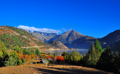 天堂与地域西藏风光 秋色背景