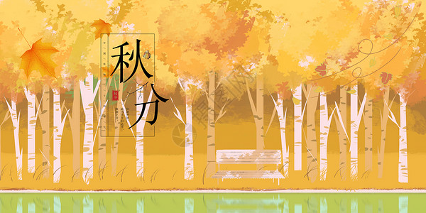 秋天的桦树林秋分设计图片