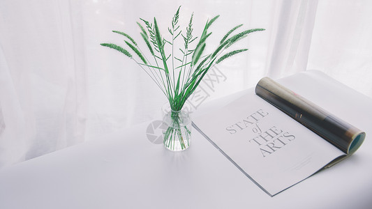 室内背景白色花瓶绿叶与杂志背景