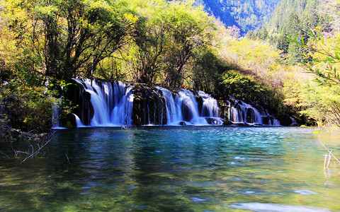 九寨沟诺日朗瀑布九寨沟的瀑布背景