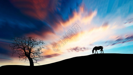 油画风景背景草地上的马背景