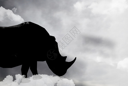 灰犀牛数据灰云高清图片