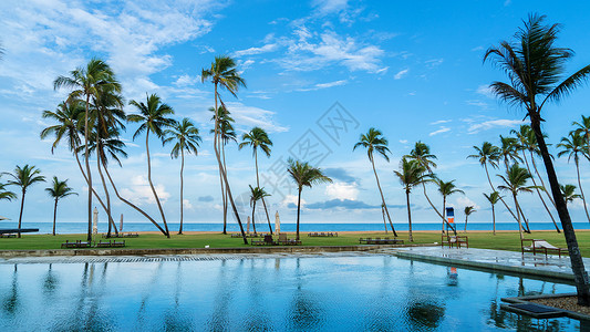 海边酒店素材斯里兰卡海边的椰树背景