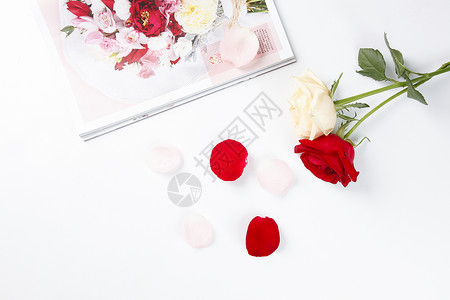 鲜花书本桌面上的玫瑰花背景