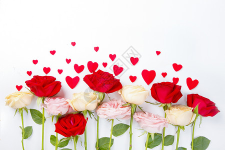 情人节主题创意玫瑰花图片背景