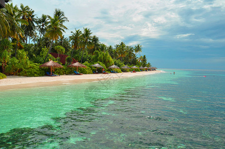 马尔代夫 透明海高清图片