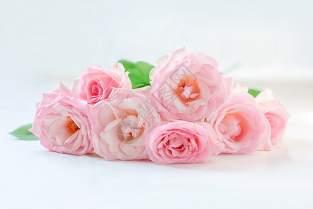 粉红色花束七夕粉红色爱情玫瑰花背景