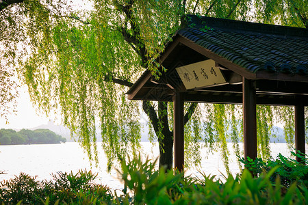 杭州西湖摩拜莱特高清图片