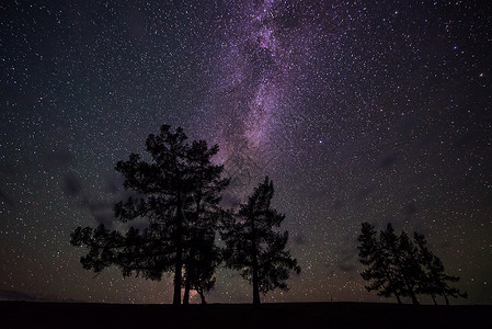 星空下的树背景