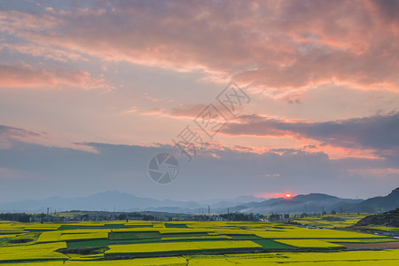 春天时光云南罗平县油菜花海晚霞背景