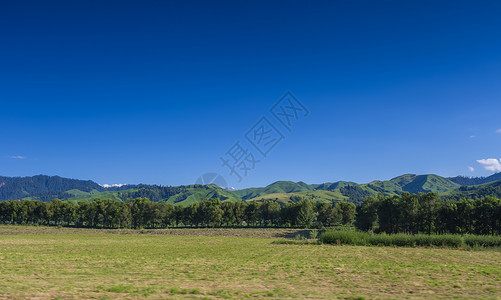 国家级名胜景区新疆那拉提草原美景背景