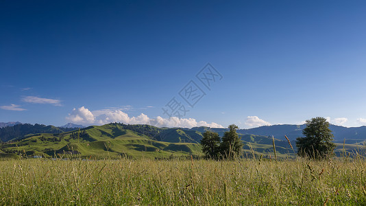 国家级名胜景区新疆那拉提草原美景背景