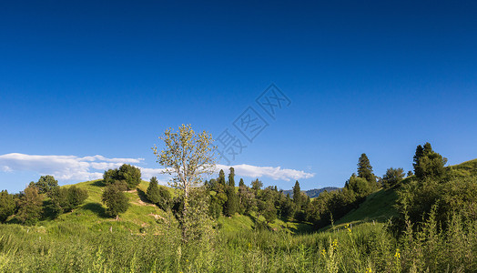 国家级名胜景区新疆那拉提草原美景背景