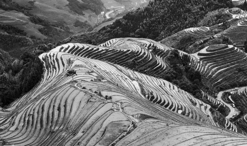 龙底纹龙的脊梁背景