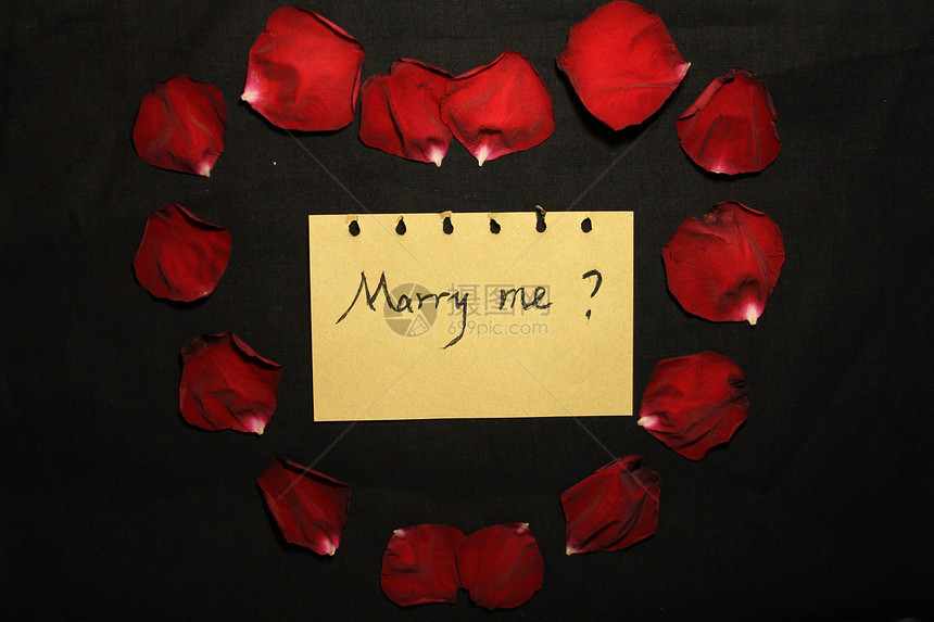 爱的表白：Marry me ?图片