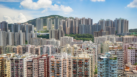 香港密集的住宅楼高清图片