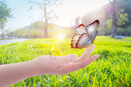 手与阳光素材环保蝴蝶设计图片