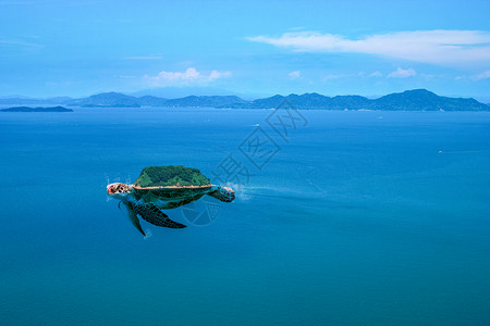高清游泳素材超现实乌龟设计图片