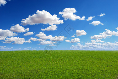 蓝天白云绿草地背景图片