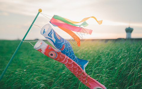 风草地夕阳下的草原和鲤鱼旗背景