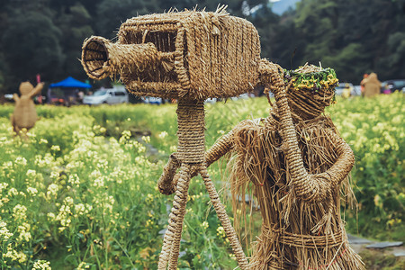 忧伤的稻草人婺源油菜花中间的稻草人背景