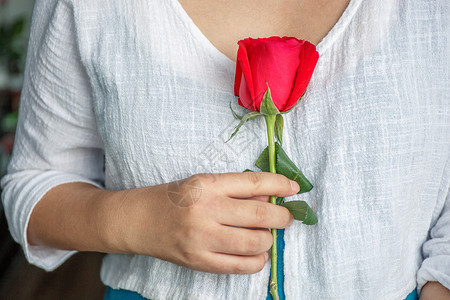 浪漫七夕手握玫瑰的少女高清图片