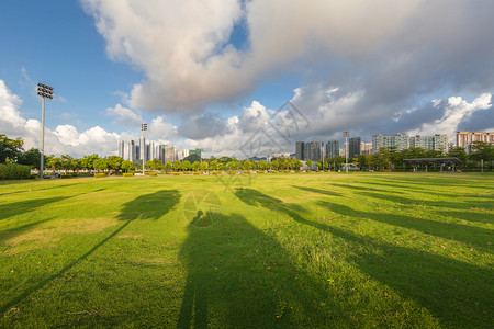 城市绿地图片