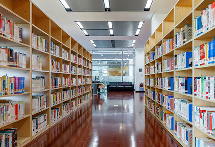 教学支持宽敞明亮的图书馆阅览室背景