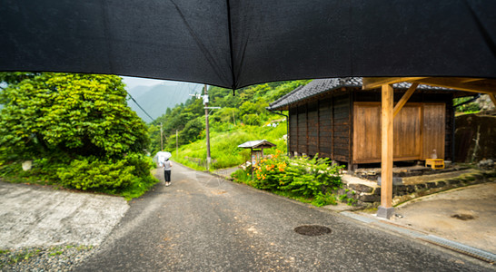 雨后伞下的乡村景色图片