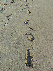 沙滩的脚印图片