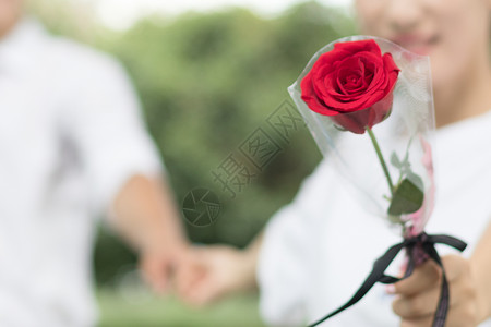 男生送玫瑰花给女生图片