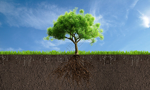 保护环境爱护树木背景图片