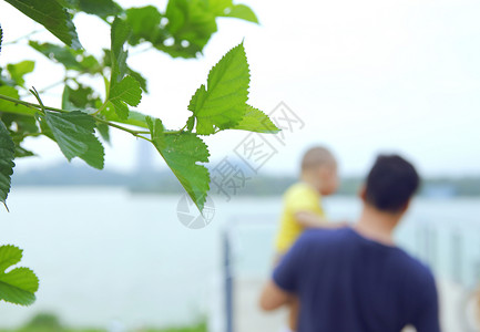 家庭背景图爸爸抱着孩子的背影背景