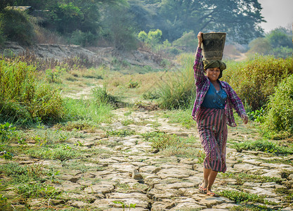 缅甸田间劳作的妇女高清图片