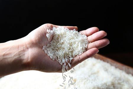 泰国香米背景图片