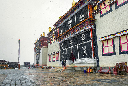 高海拔雪菊大雪飘飞中的松赞林寺背景