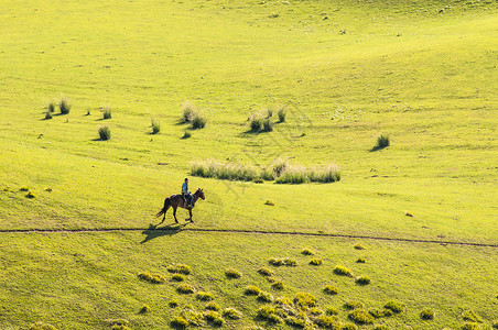 骑马的人新疆特克斯草原骏马背景