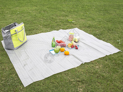 野餐垫与食物公园野餐背景