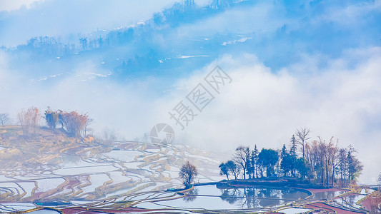 登高梯云南元阳梯田晨雾背景