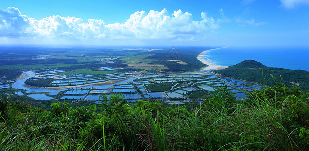 海树海南风光背景