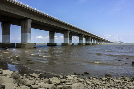 长兴岛长江大桥江边景色背景图片