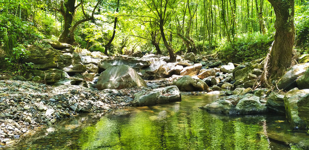 小溪石头树林里的小溪背景