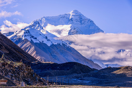珠穆朗玛峰西藏牦牛高清图片