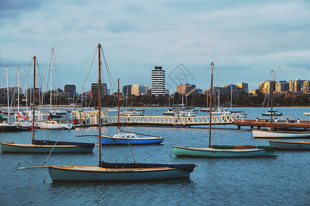 澳大利亚墨尔本港湾的帆船背景